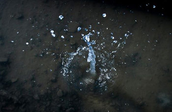 Fashion Photographer From Nepal